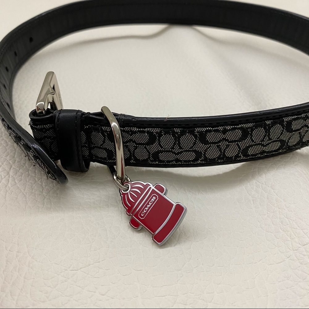 Coach Logo Belt Like New